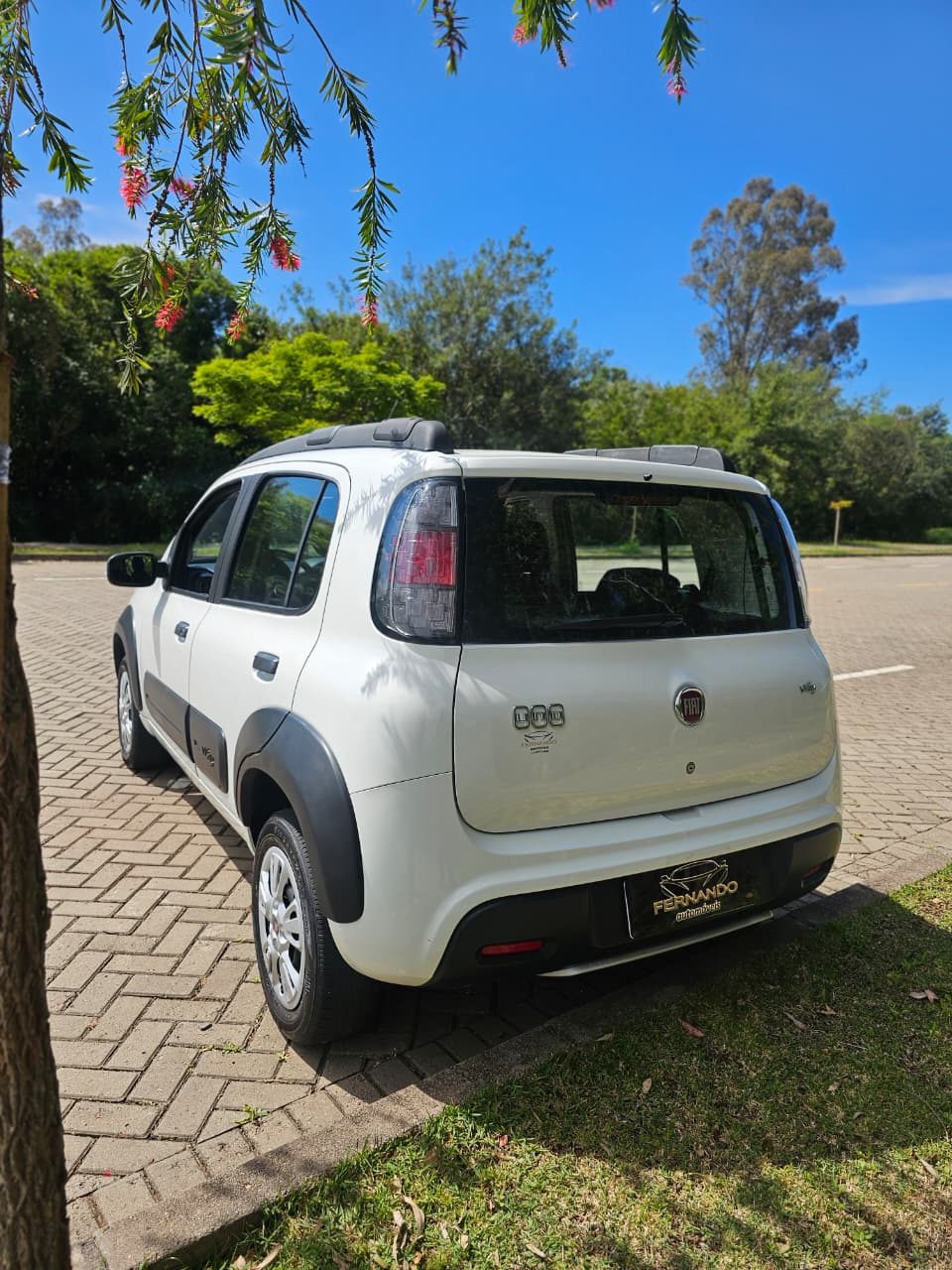 Foto 4