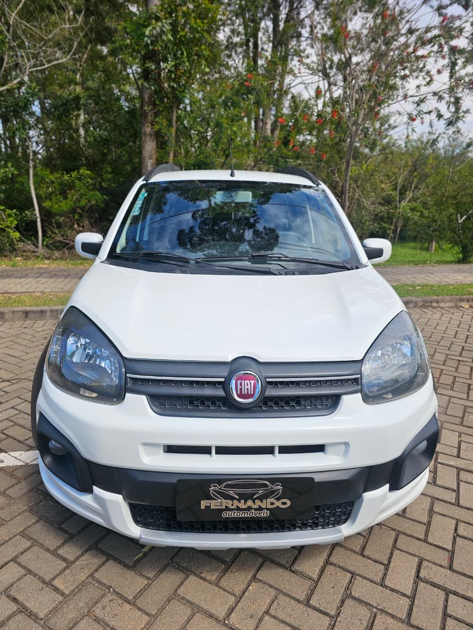 Foto 6